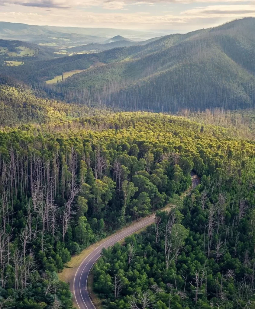 Yarra Ranges National Park