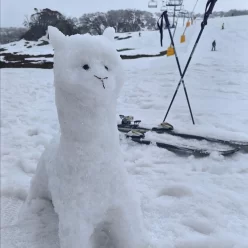 Physically Prepare for a Ski Trip in Australia