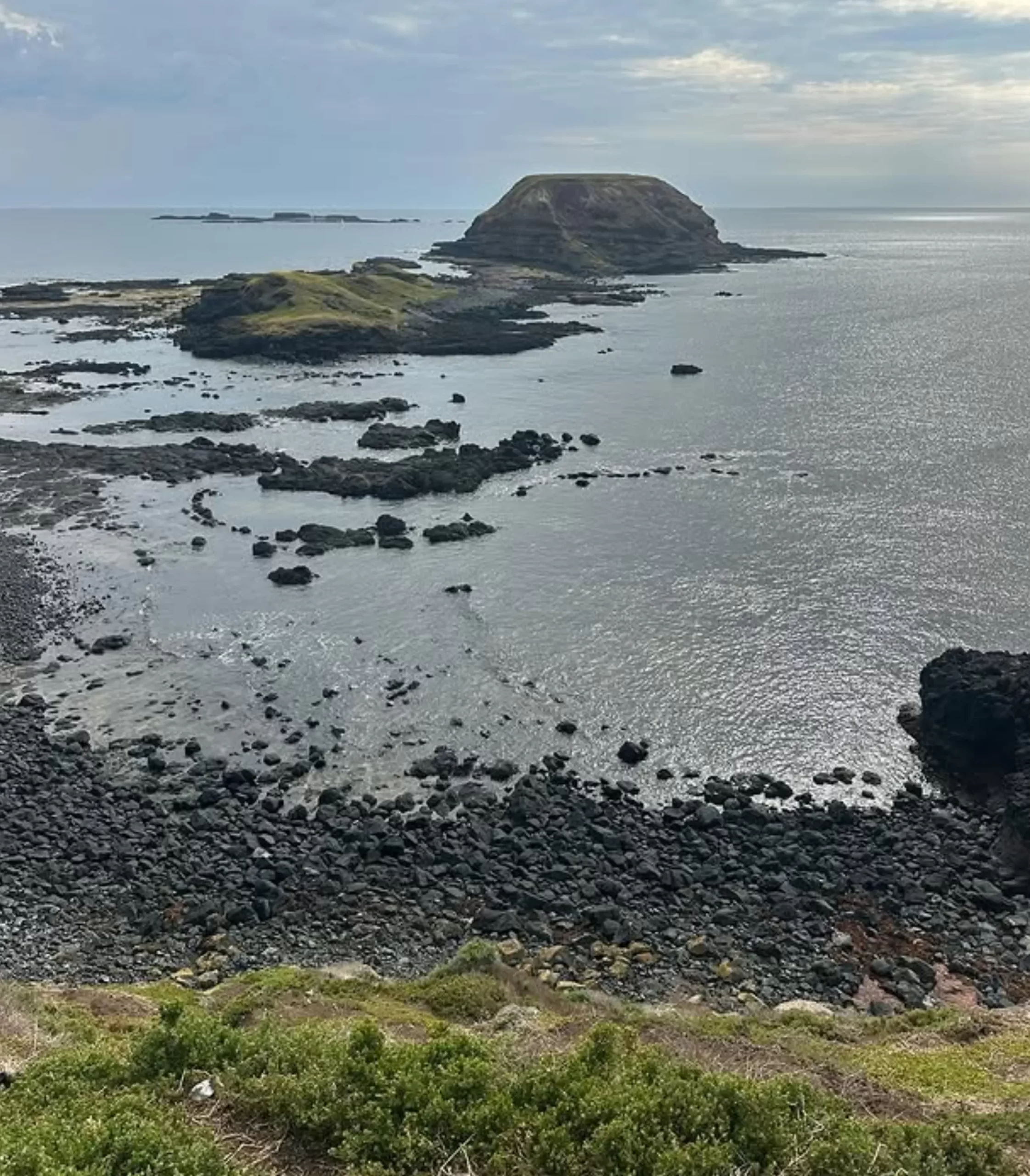 Phillip Island Nature Parks Nobbies