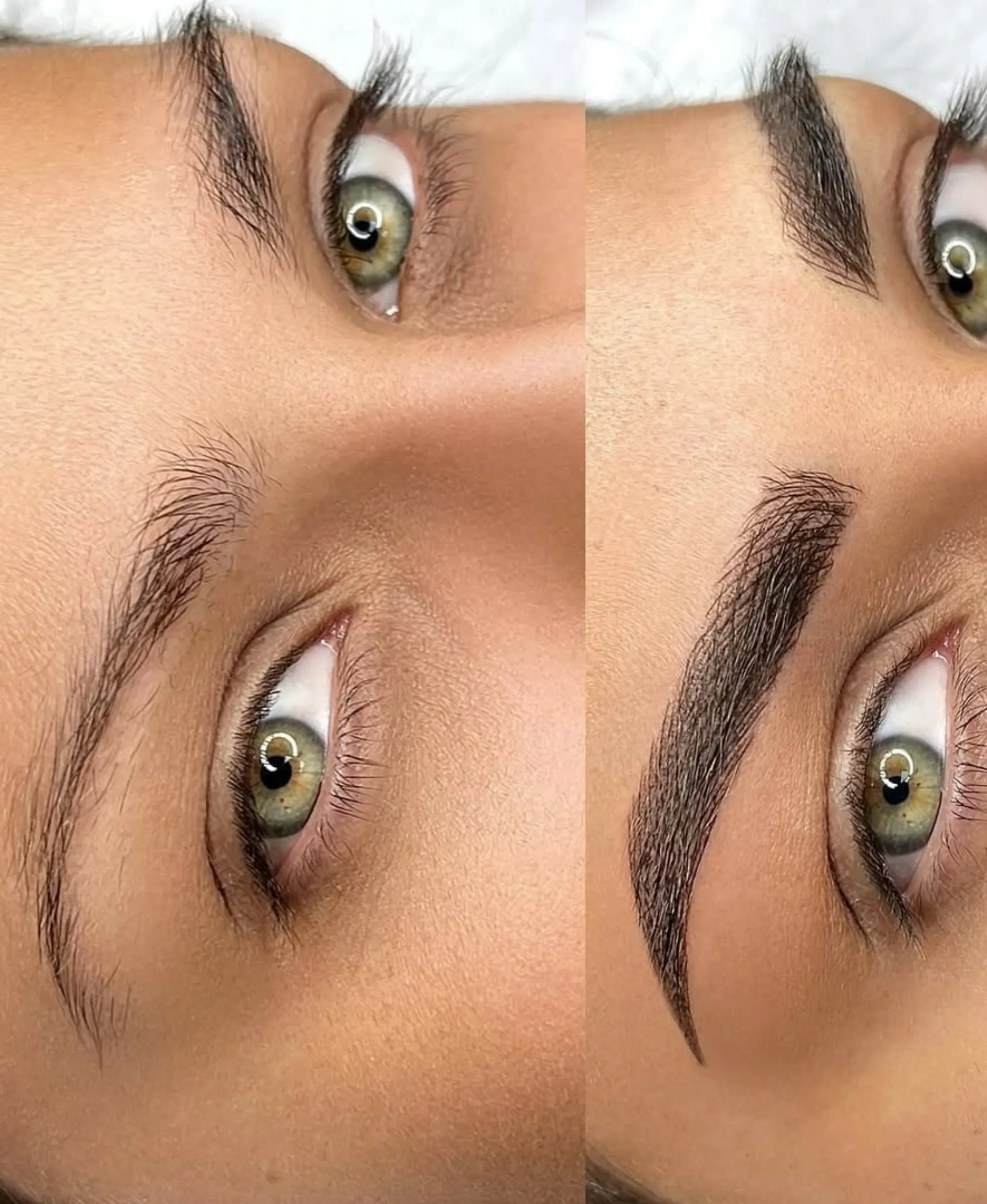 Microblading theory modules