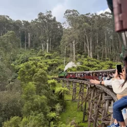 Puffing Billy vs. Wine Tours