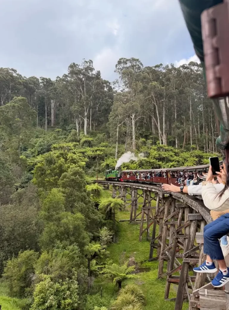 Puffing Billy vs. Wine Tours
