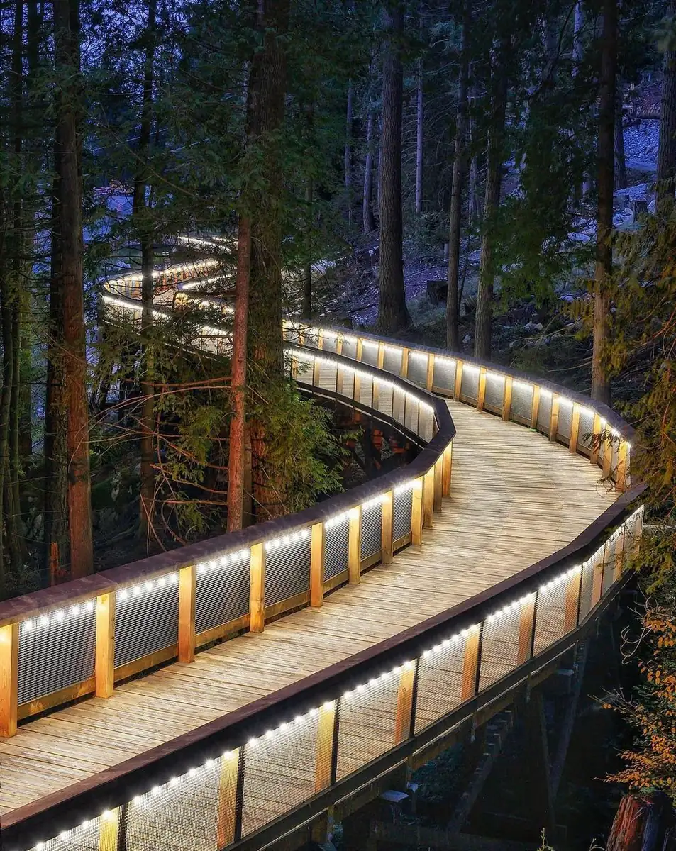 What the Train Experience Really Involves