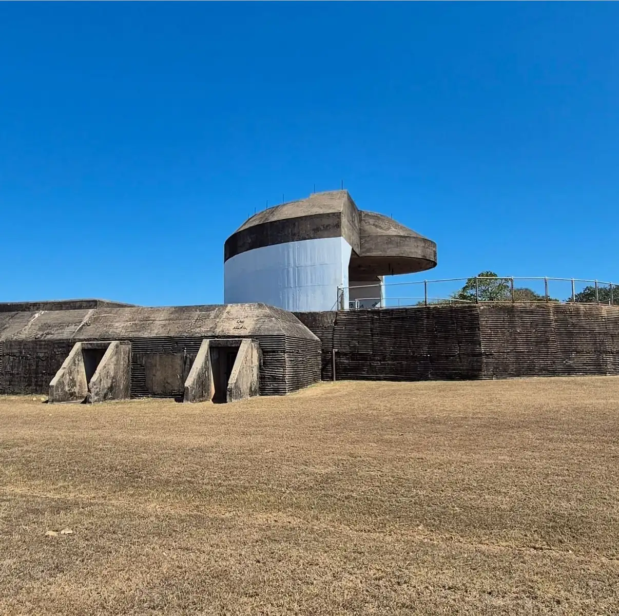 Why Darwin's Wartime Story Still Counts Today