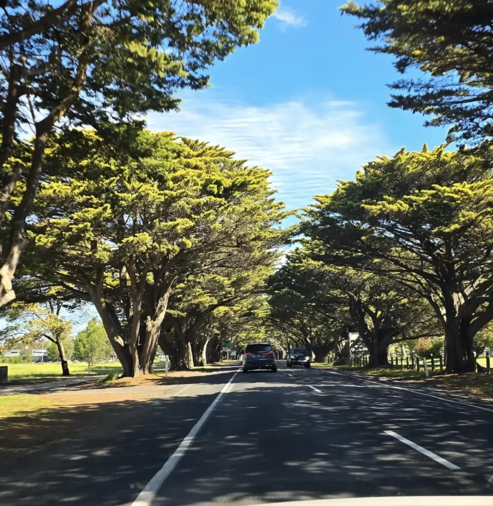 cheapest way to get to phillip island